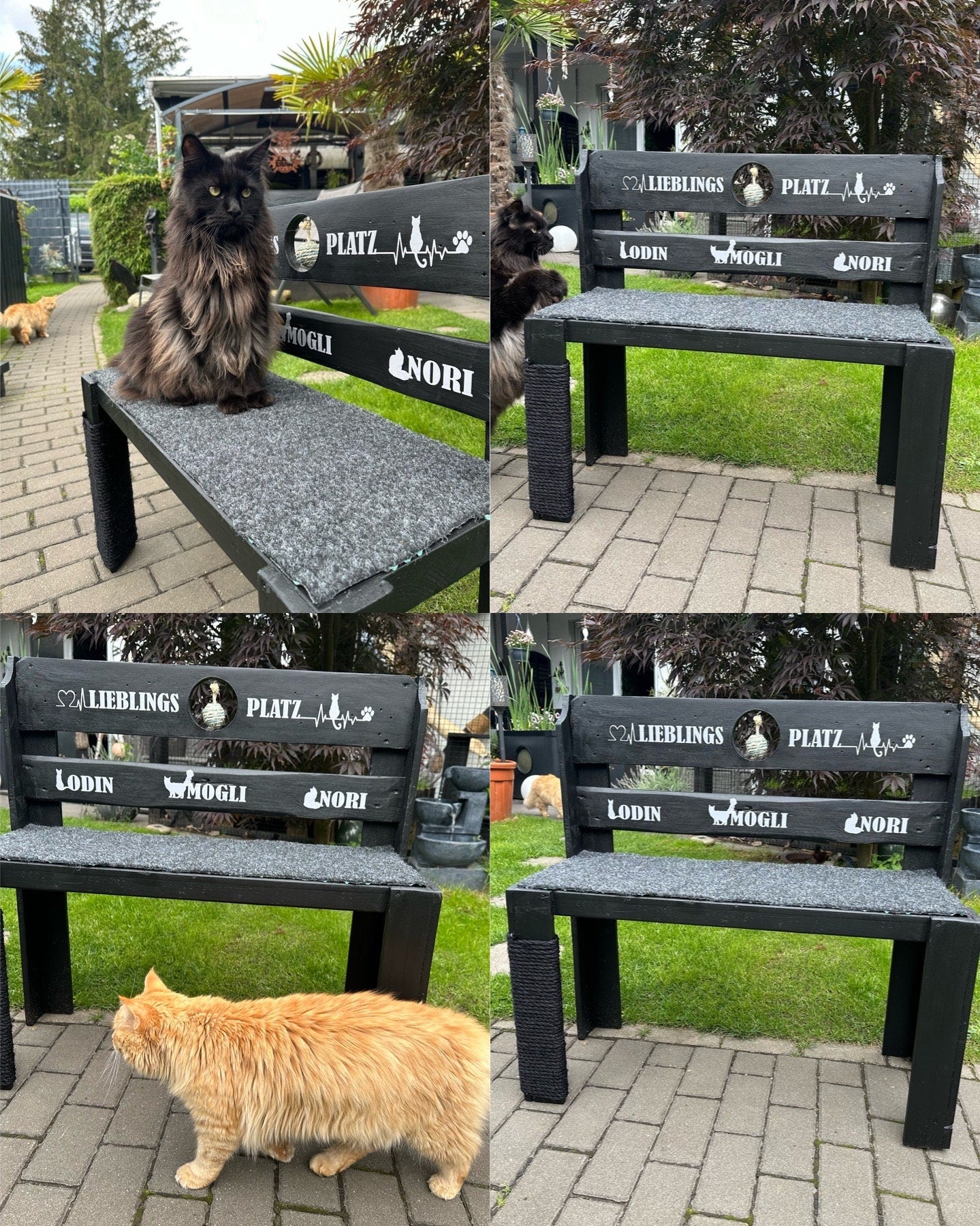 Personalisierte Katzenbank aus Palettenholz – Handgemachte Bank 72×34×80 cm mit Sisal | Möbel für Katzen & Katzenliebhaber