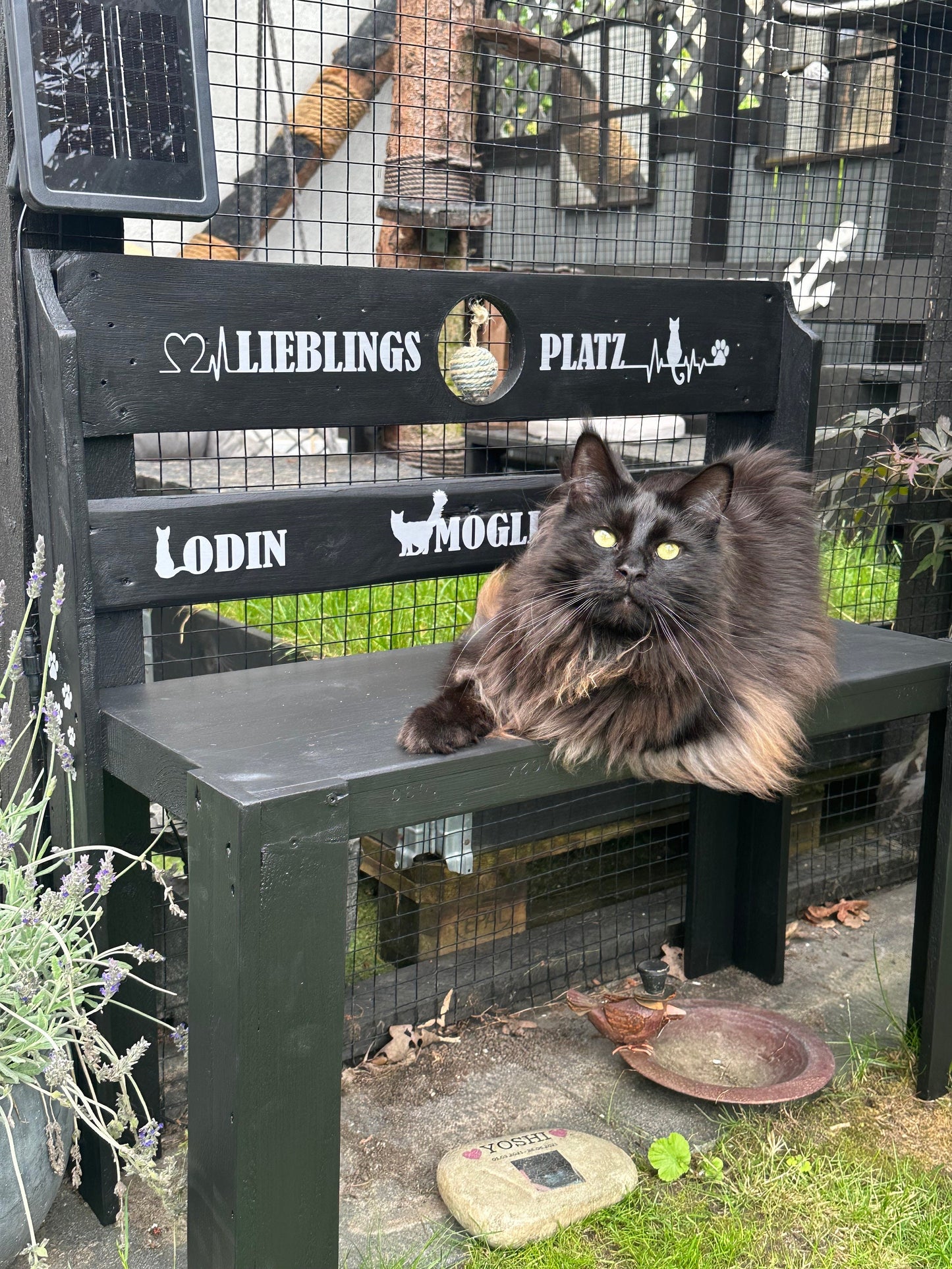 Personalisierte Katzenbank aus Palettenholz – Handgemachte Bank 72×34×80 cm mit Sisal | Möbel für Katzen & Katzenliebhaber