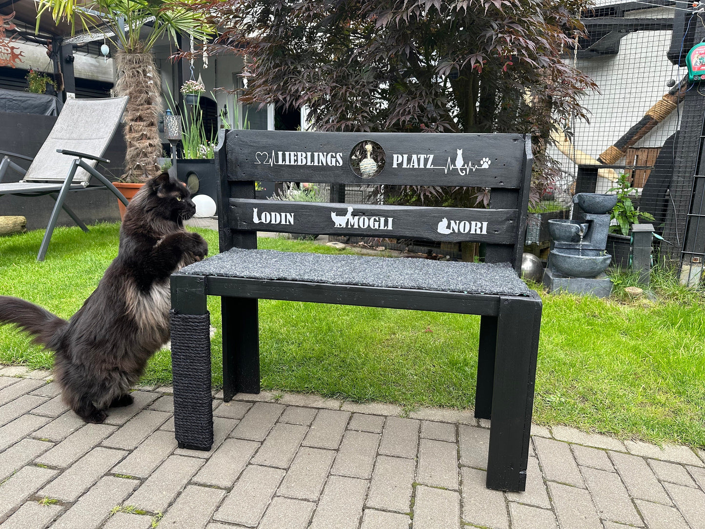 Personalisierte Katzenbank aus Palettenholz – Handgemachte Bank 72×34×80 cm mit Sisal | Möbel für Katzen & Katzenliebhaber