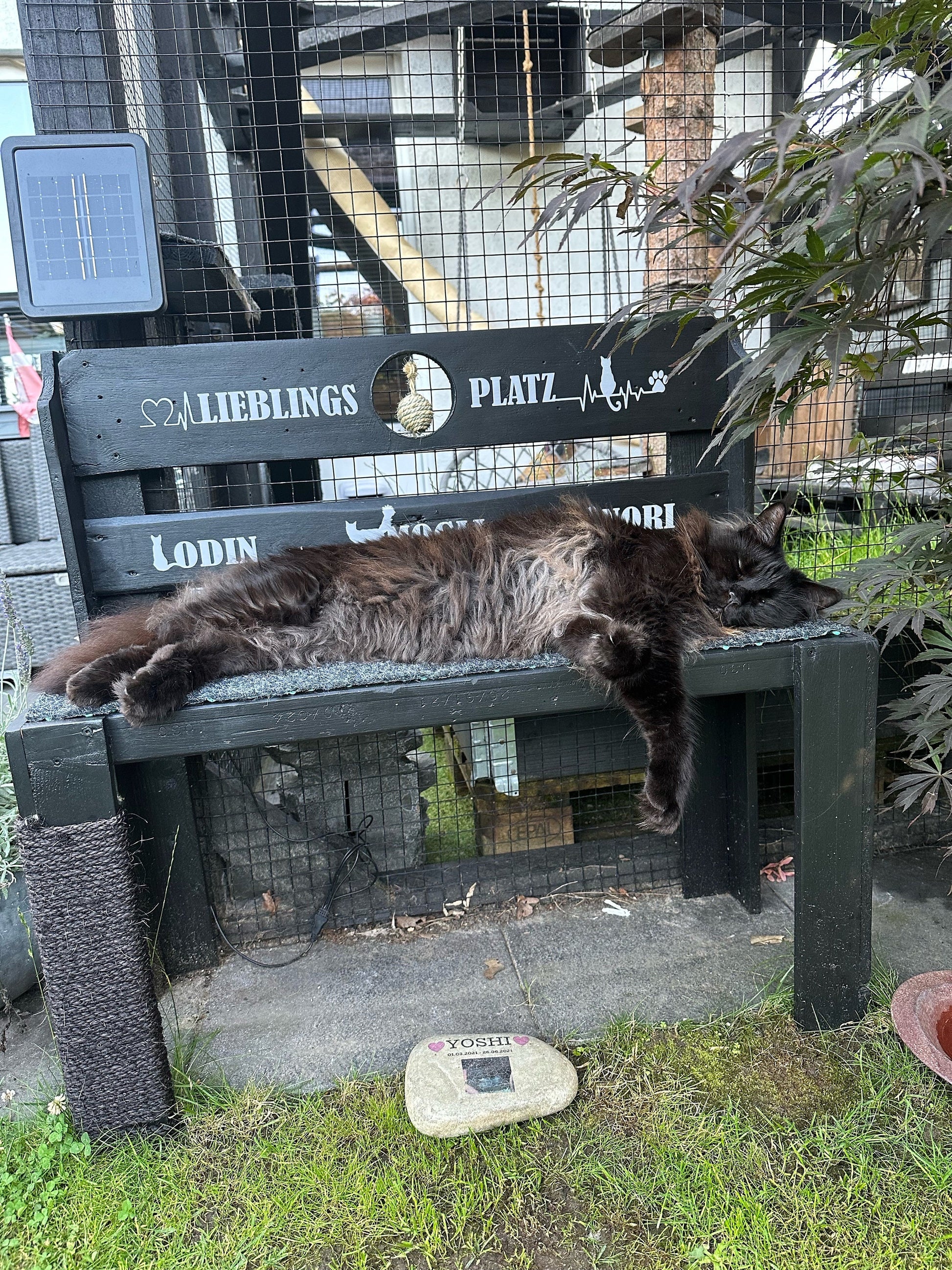 Personalisierte Katzenbank aus Palettenholz – Handgemachte Bank 72×34×80 cm mit Sisal | Möbel für Katzen & Katzenliebhaber